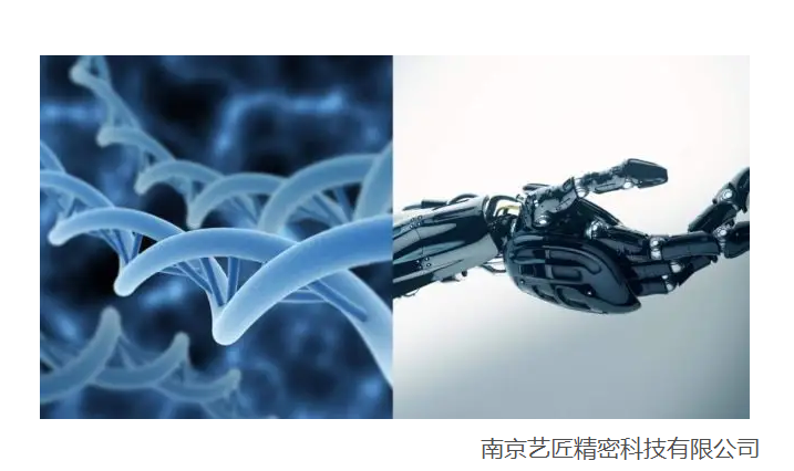 <strong>現代醫學以及（jí）生物工程技術的精密零件（jiàn）器材的發展</strong>